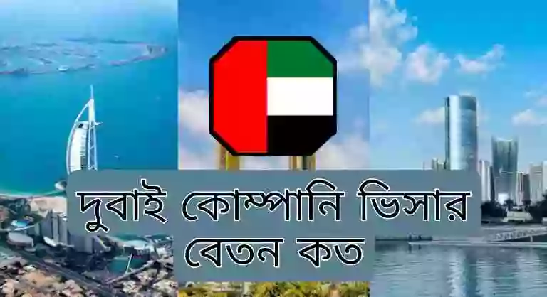 দুবাই কোম্পানি ভিসা দাম কত